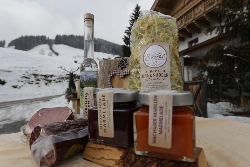 Hotel Und Alpen Apartments Mit Sauna - Buerglhoeh Бишофсхофен Экстерьер фото